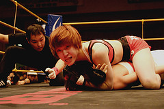 grappling gloves