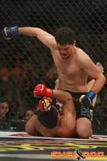 Nick Diaz 8