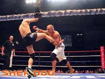 Georges St-Pierre in combat