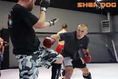 Georges St-Pierre in training