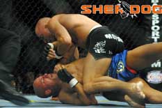 Georges St-Pierre 2